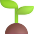 seedling