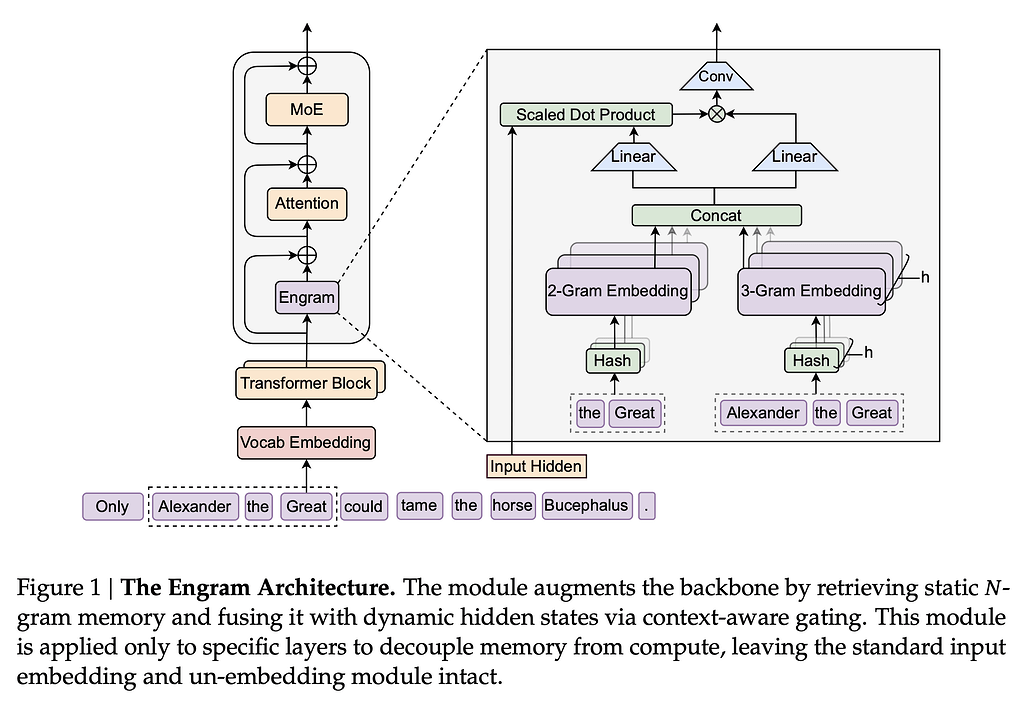 Engram 아키텍처: Engram은 정적인 N-gram 메모리를 조회(Retrieve)하고, 이를 문맥 인식 게이팅(Context-aware Gating)을 통해 동적인 히든 스테이트(Hidden States)와 융합(Fusion)하는 방식으로 트랜스포머 백본(Backbone)과 통합