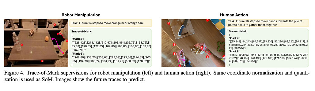 Magma 모델의 Trace-of-Mark (ToM) for Action Planning