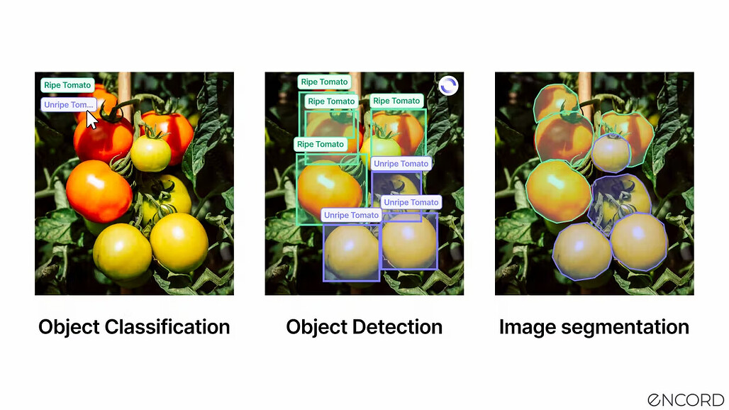 객체 분류, 객체 탐자, 이미지 세분화 비교 / Comparing object classification, object detection, and image segmentation
