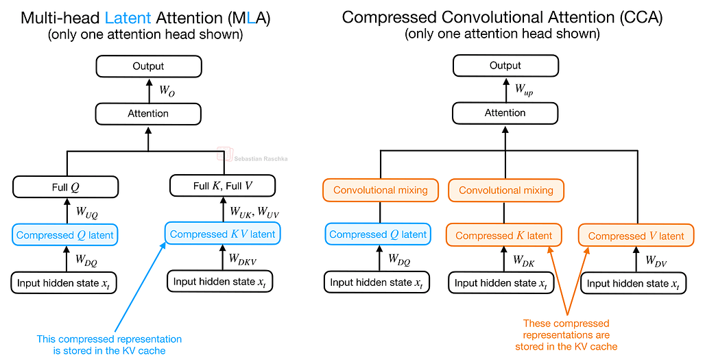 MLA vs CCA
