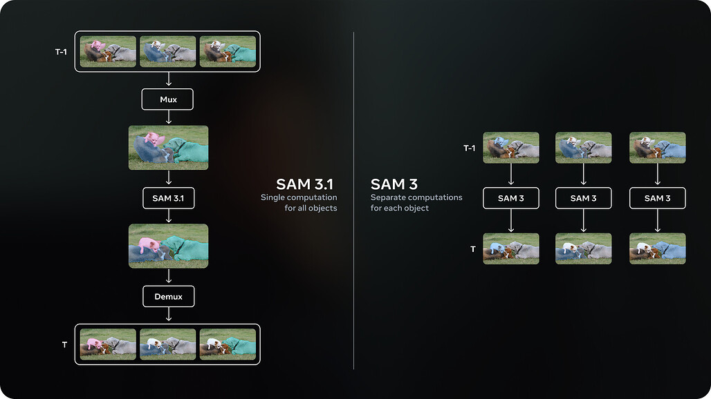 SAM 3.1의 핵심 개선 사항: 객체 멀티플렉싱과 글로벌 추론