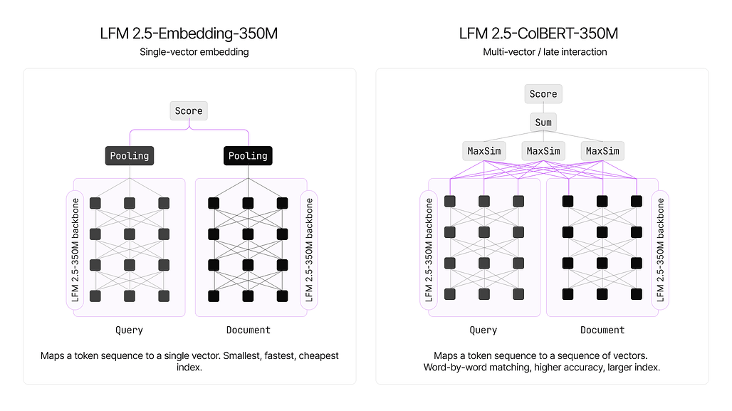 LFM2.5-Embedding과 LFM2.5-ColBERT의 표현 방식 비교
