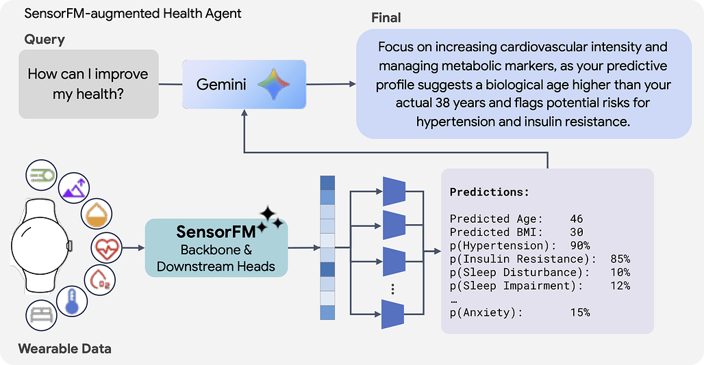 SensorFM 예측을 근거로 삼아 Gemini가 개인 맞춤 건강 요약을 생성하는 워크플로우 / Workflow where Gemini grounds a personalized health summary on SensorFM predictions