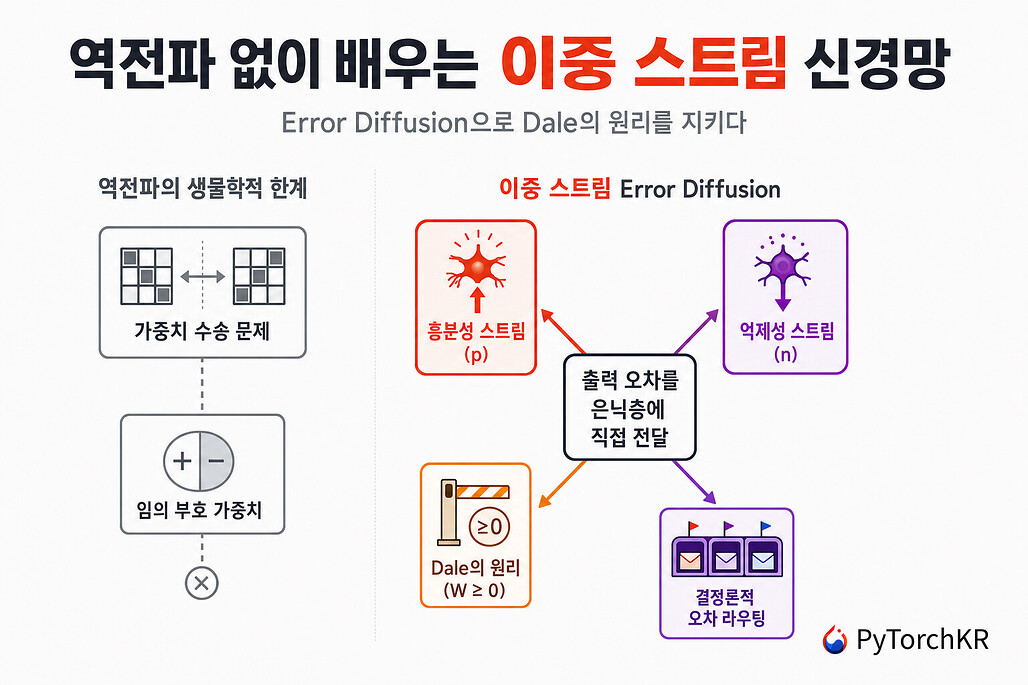 역전파 없이 배우는 이중 스트림 신경망: Error Diffusion으로 Dale의 원리를 지키는 학습