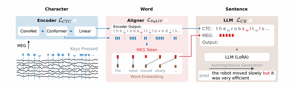 Brain2Qwerty v2 아키텍처: 문자(Encoder/CTC), 단어(Aligner/SigLIP), 문장(LLM/CE)의 3단계 파이프라인이 연속 MEG 신호를 입력받아 문장을 생성하는 구조