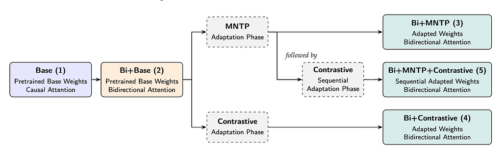 BidirLM의 다섯가지 변형
