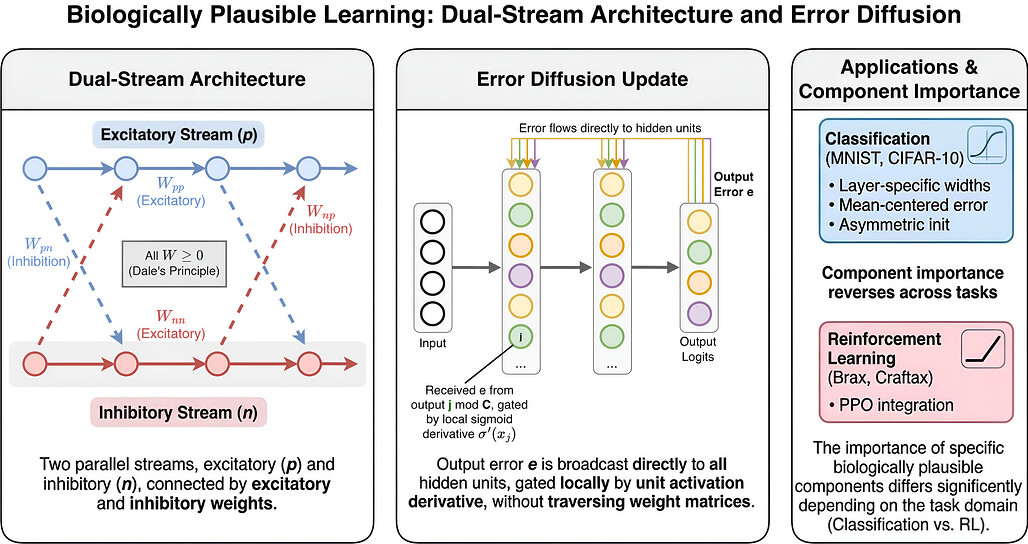 생물학적으로 타당한 학습: 이중 스트림 아키텍처와 Error Diffusion 개요 / Dual-stream architecture and Error Diffusion overview