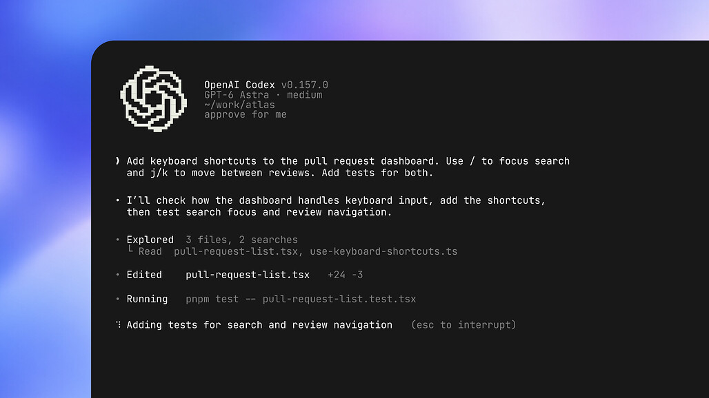 Codex CLI 터미널 화면