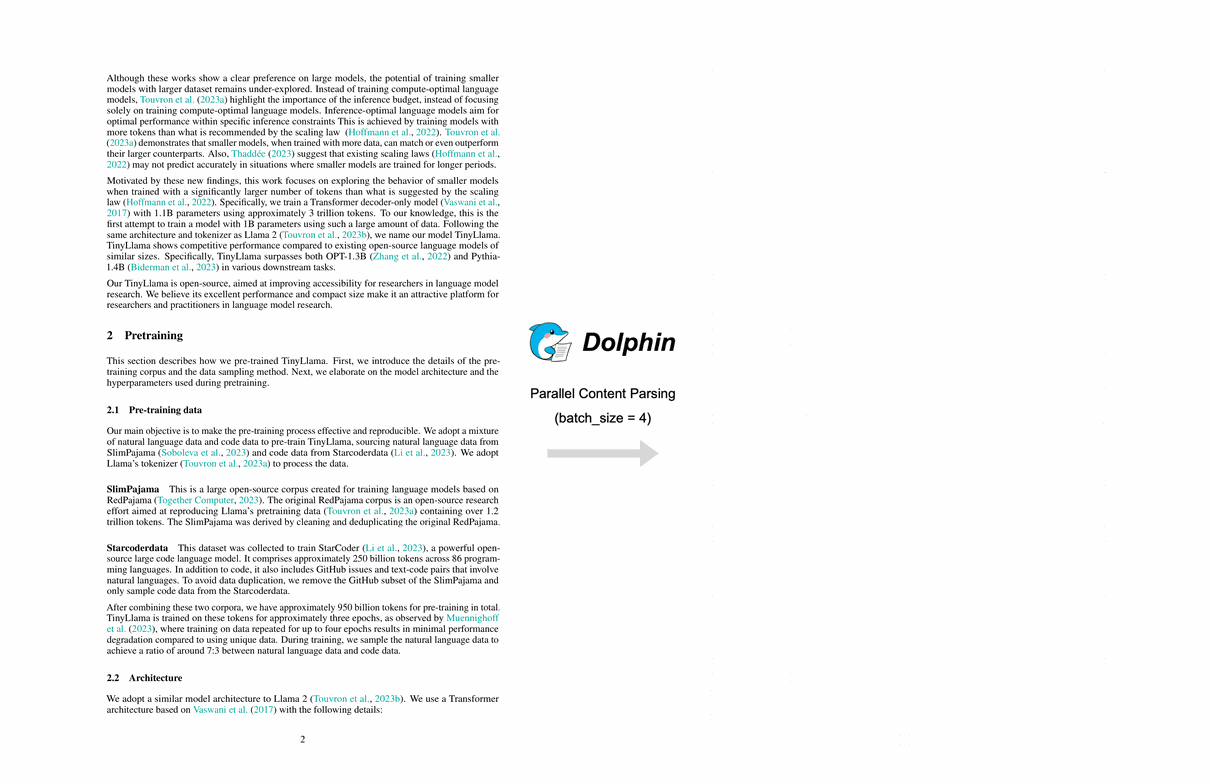 Dolphin