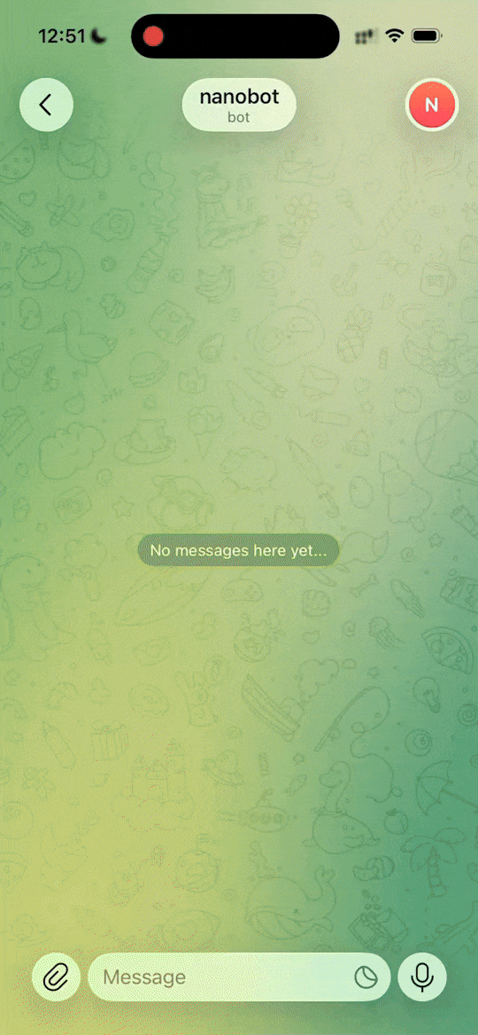 nanobot 사용 예시: 🚀 Full-Stack Software Engineer