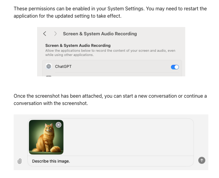 ChatGPT macOS App - Screenrecording permission