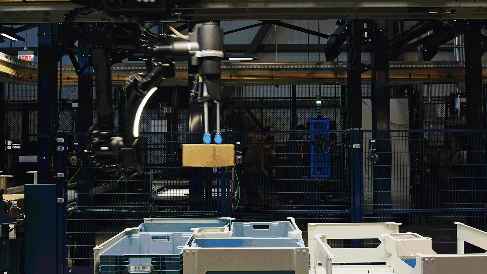 aa-archivegif001-amazon-bluejay-bluejay-2-copy-1600x900-1