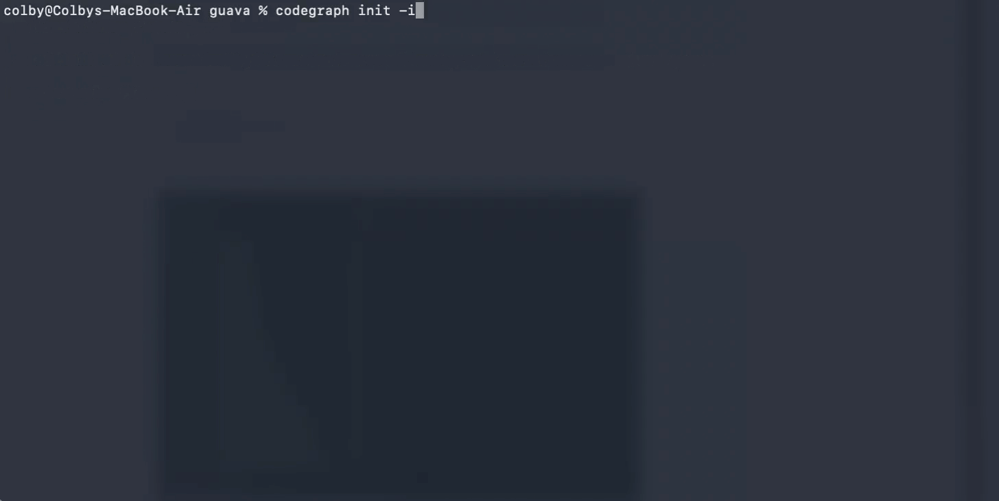 CodeGraph 설치 과정